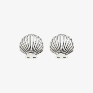 Delicate Shell Stud Earrings