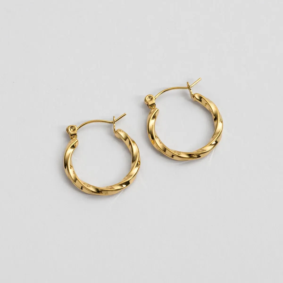 Delicate Twisted Hoop Earrings