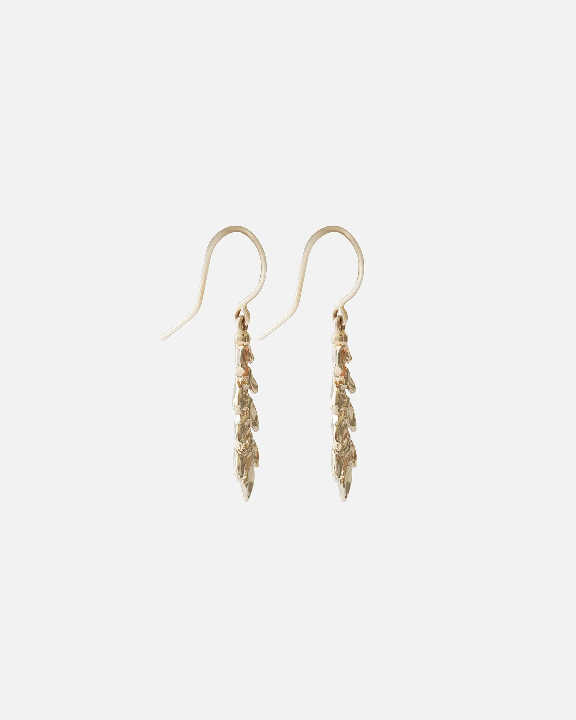 Inverted Branch / Earrings