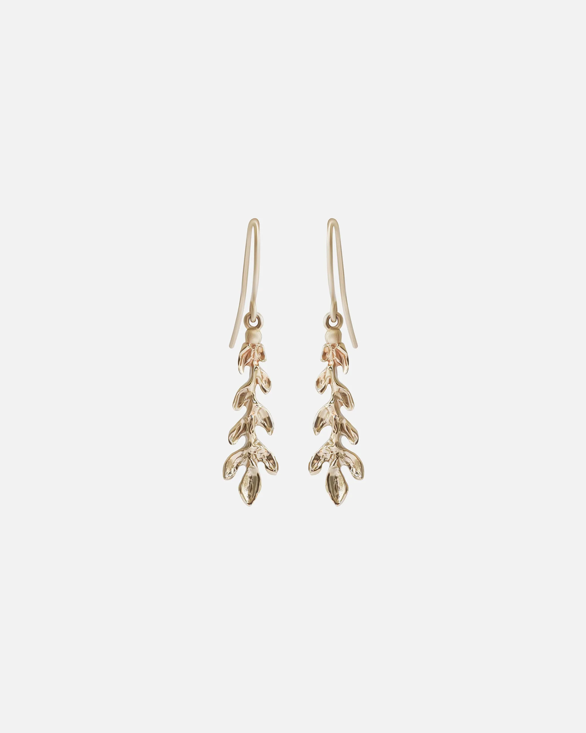 Inverted Branch / Earrings